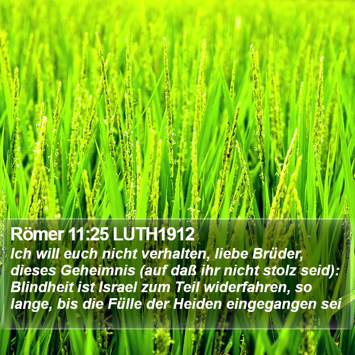 Römer 11:25 LUTH1912 Bible Study