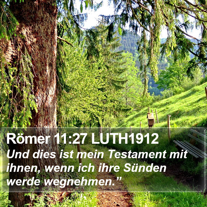 Römer 11:27 LUTH1912 Bible Study