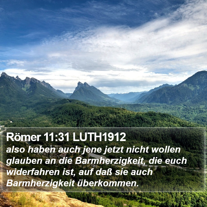 Römer 11:31 LUTH1912 Bible Study