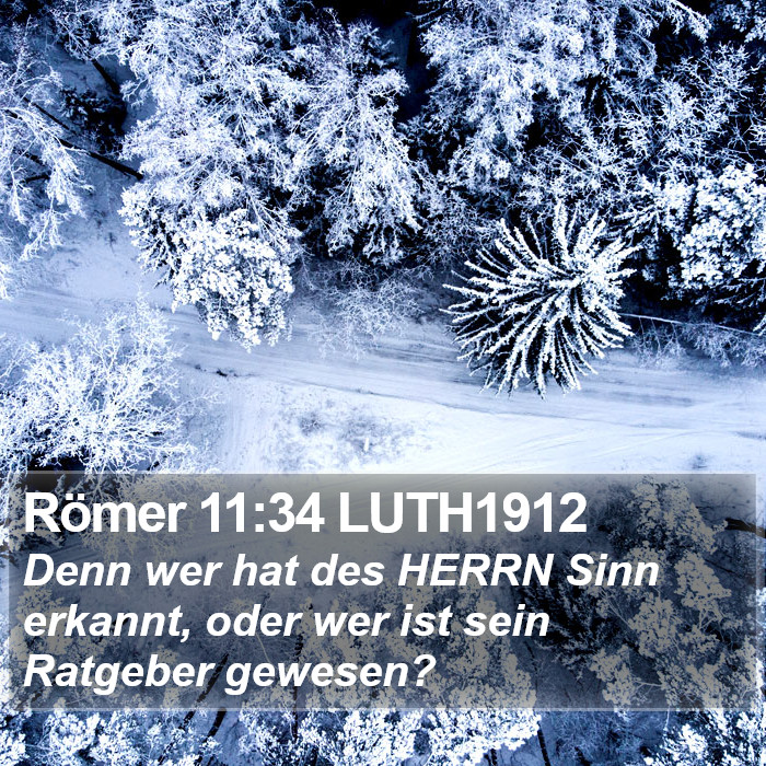 Römer 11:34 LUTH1912 Bible Study