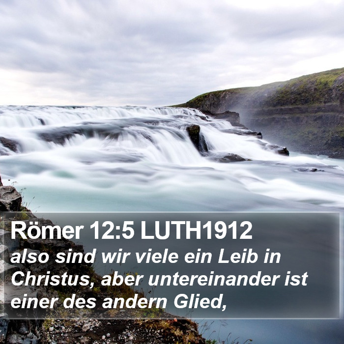Römer 12:5 LUTH1912 Bible Study