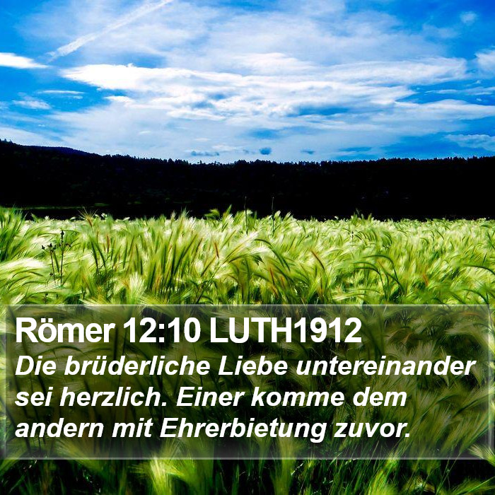 Römer 12:10 LUTH1912 Bible Study