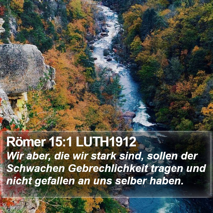 Römer 15:1 LUTH1912 Bible Study