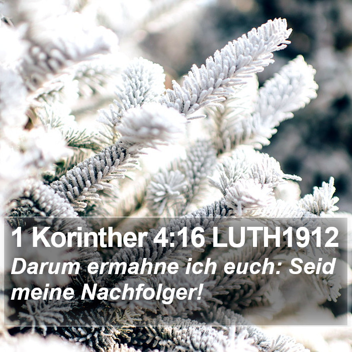 1 Korinther 4:16 LUTH1912 Bible Study