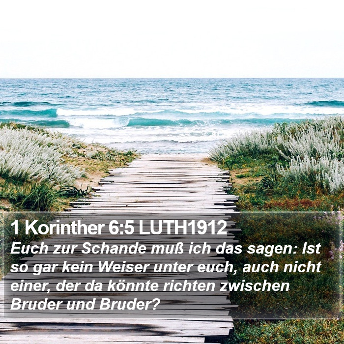1 Korinther 6:5 LUTH1912 Bible Study