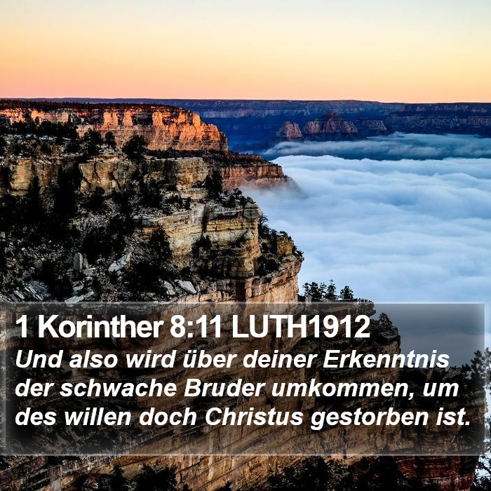1 Korinther 8:11 LUTH1912 Bible Study