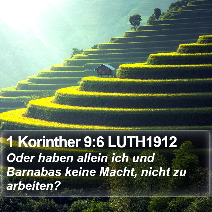 1 Korinther 9:6 LUTH1912 Bible Study
