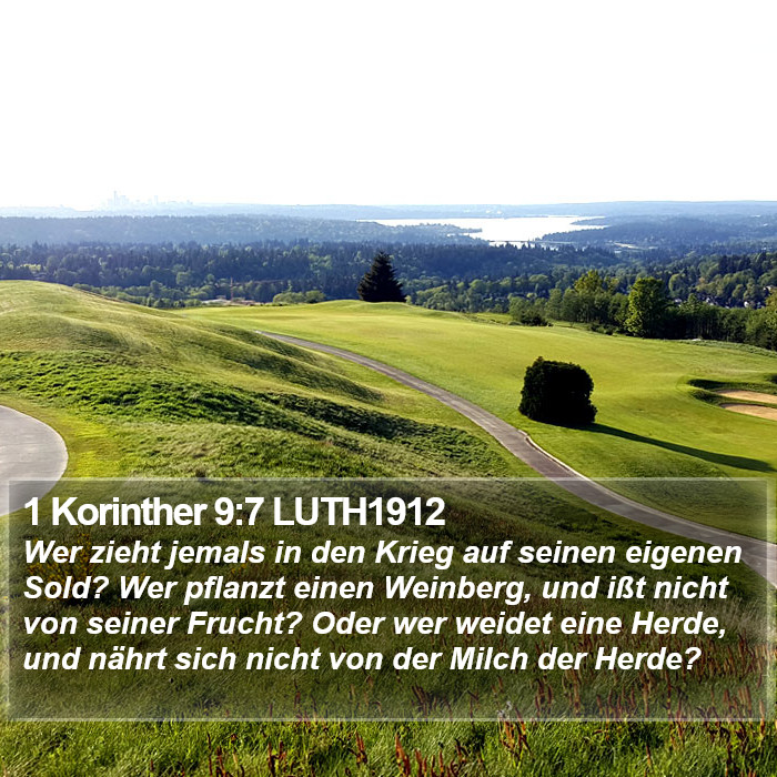1 Korinther 9:7 LUTH1912 Bible Study