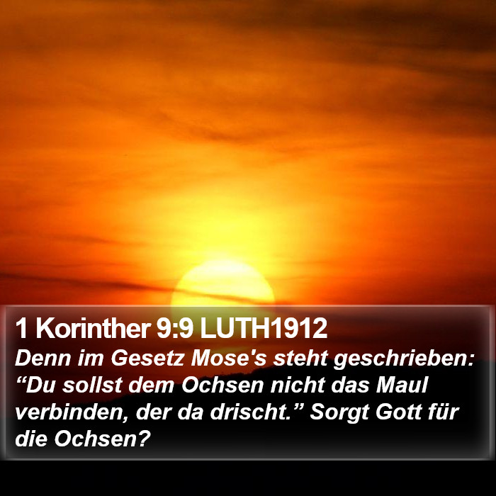 1 Korinther 9:9 LUTH1912 Bible Study