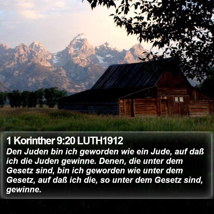1 Korinther 9:20 LUTH1912 Bible Study