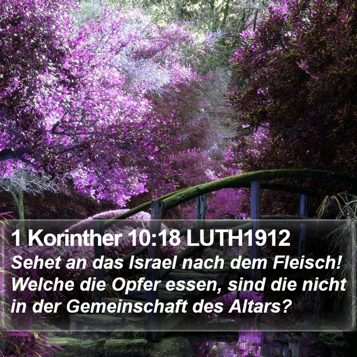 1 Korinther 10:18 LUTH1912 Bible Study