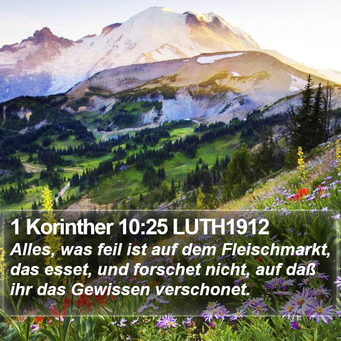 1 Korinther 10:25 LUTH1912 Bible Study