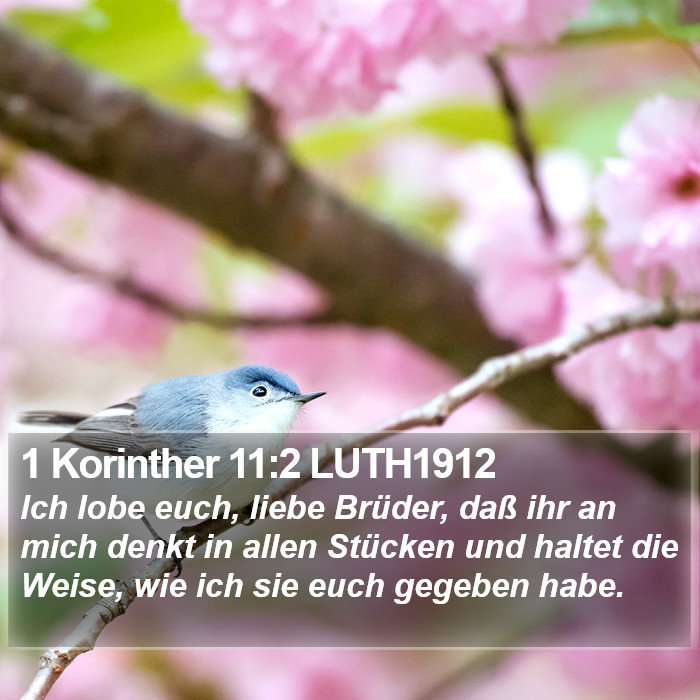 1 Korinther 11:2 LUTH1912 Bible Study