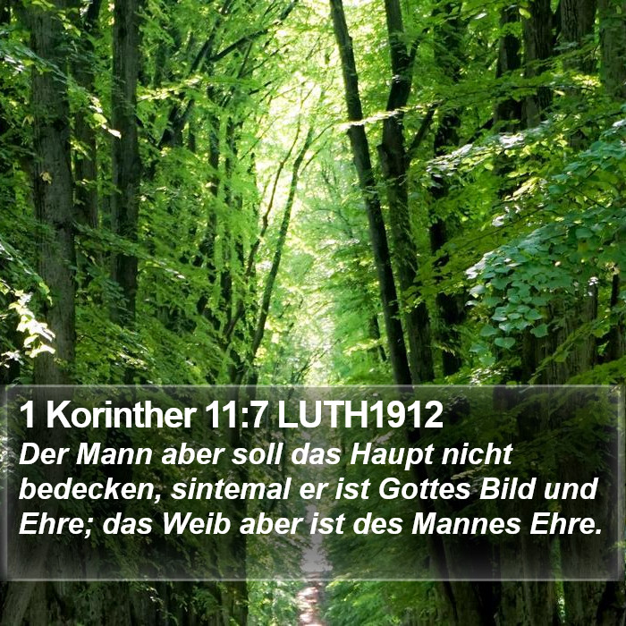 1 Korinther 11:7 LUTH1912 Bible Study