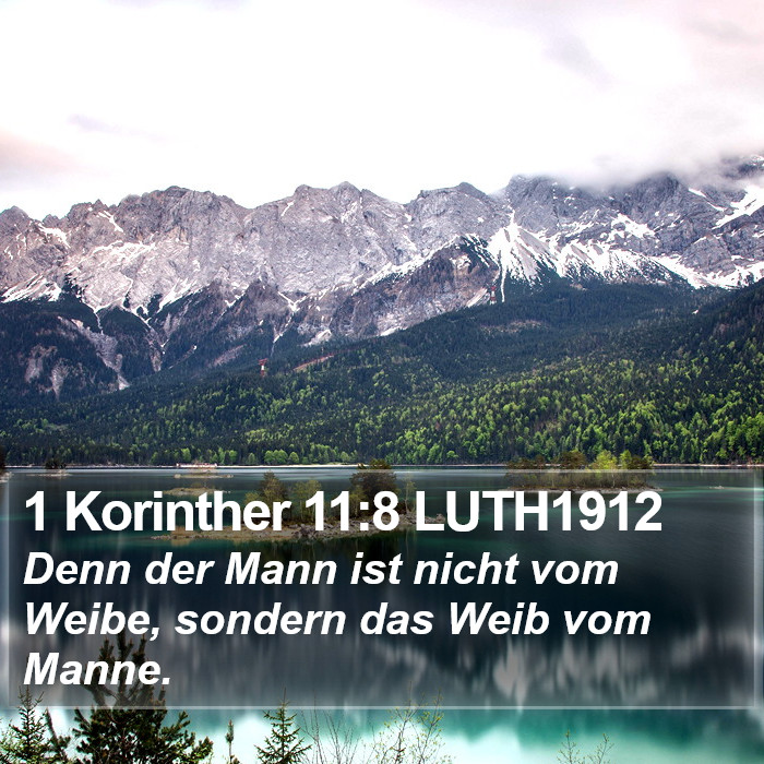 1 Korinther 11:8 LUTH1912 Bible Study