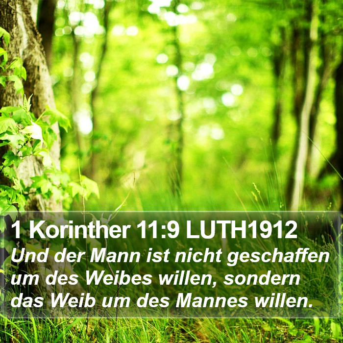 1 Korinther 11:9 LUTH1912 Bible Study