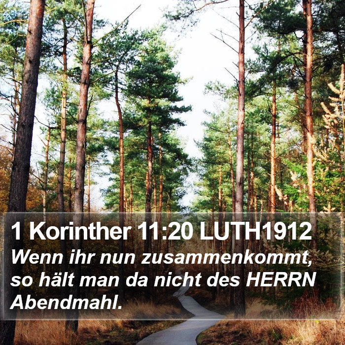 1 Korinther 11:20 LUTH1912 Bible Study