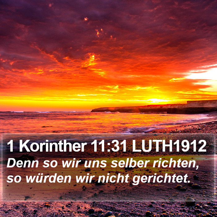 1 Korinther 11:31 LUTH1912 Bible Study