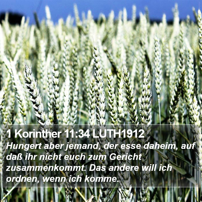 1 Korinther 11:34 LUTH1912 Bible Study