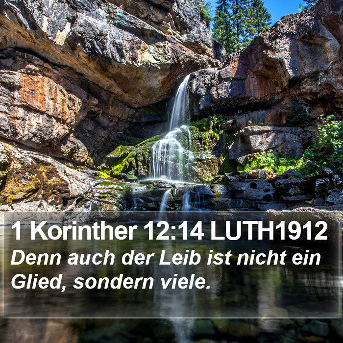 1 Korinther 12:14 LUTH1912 Bible Study