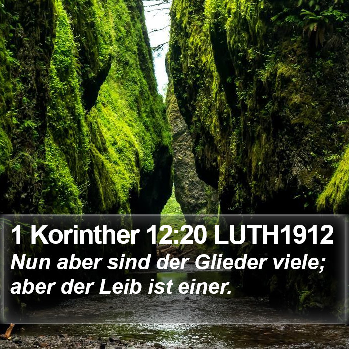 1 Korinther 12:20 LUTH1912 Bible Study