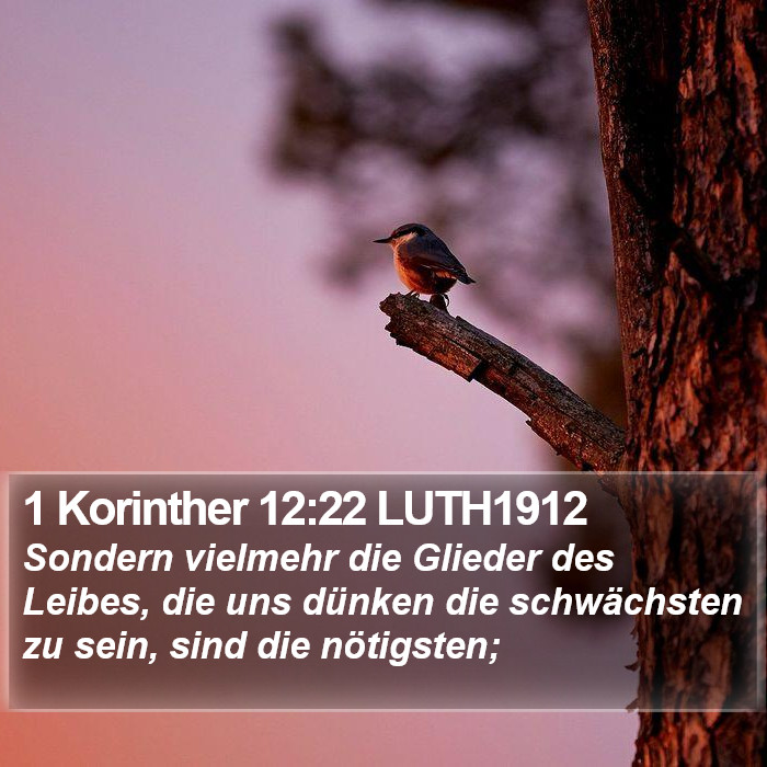 1 Korinther 12:22 LUTH1912 Bible Study