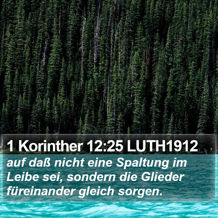 1 Korinther 12:25 LUTH1912 Bible Study