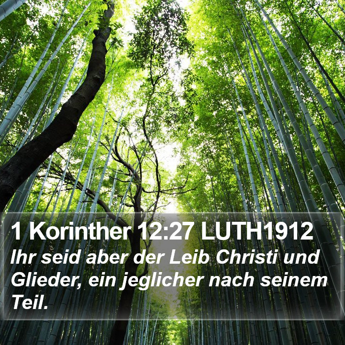 1 Korinther 12:27 LUTH1912 Bible Study