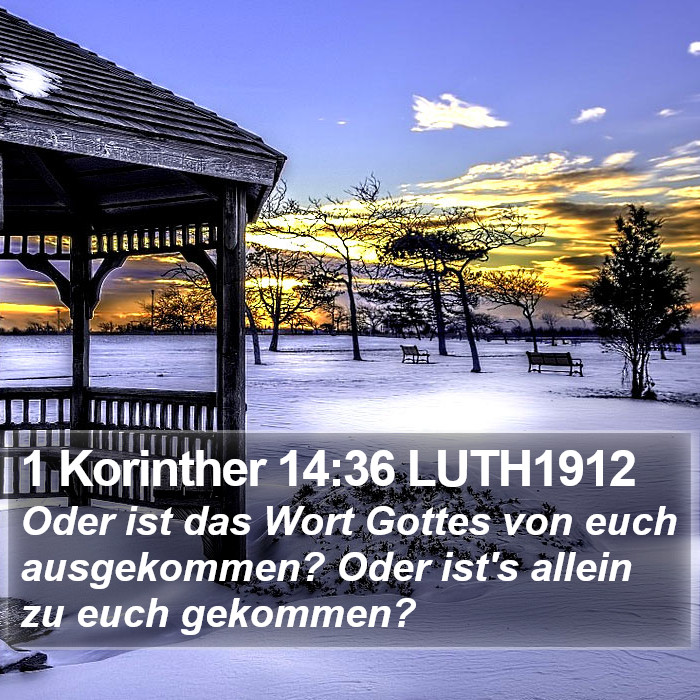 1 Korinther 14:36 LUTH1912 Bible Study