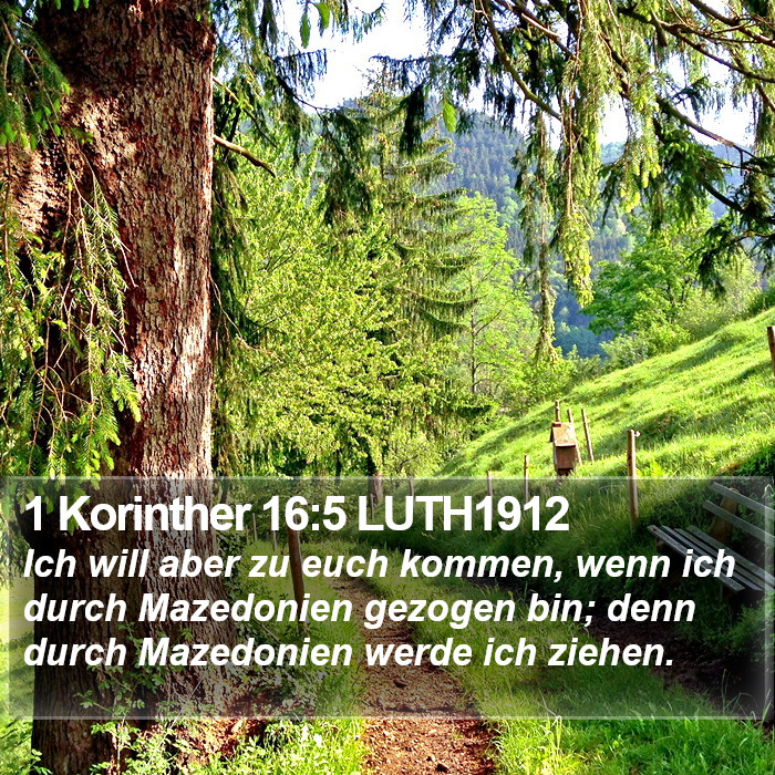 1 Korinther 16:5 LUTH1912 Bible Study