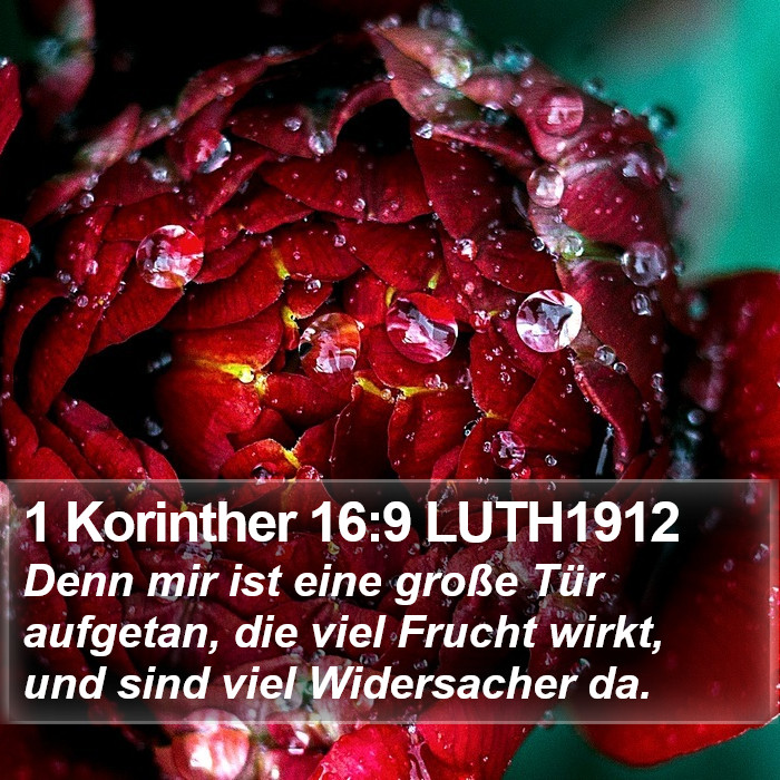 1 Korinther 16:9 LUTH1912 Bible Study