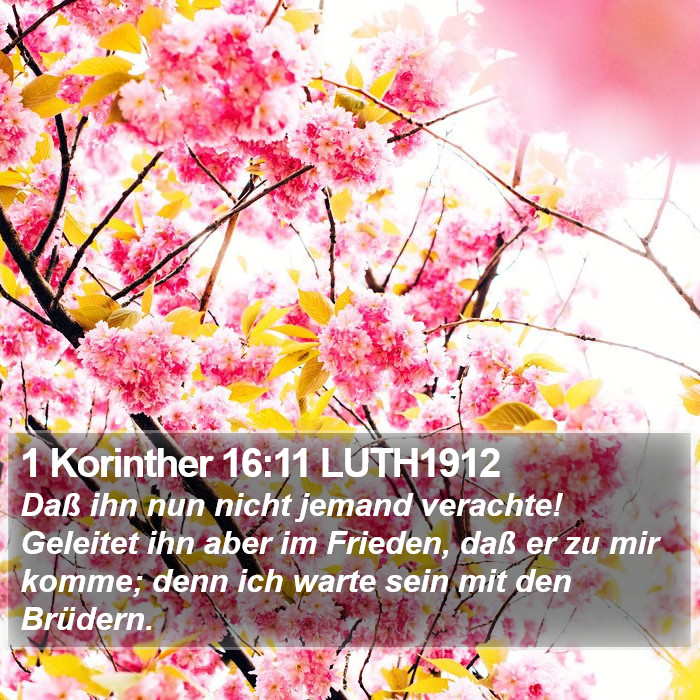 1 Korinther 16:11 LUTH1912 Bible Study