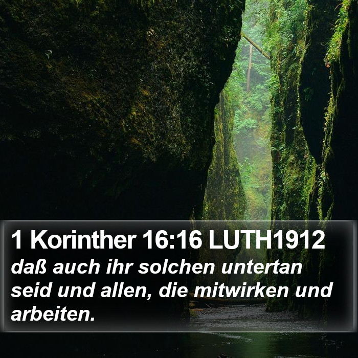 1 Korinther 16:16 LUTH1912 Bible Study