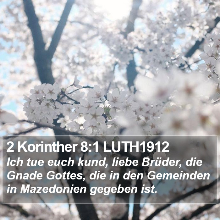 2 Korinther 8:1 LUTH1912 Bible Study