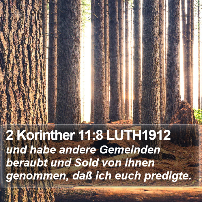 2 Korinther 11:8 LUTH1912 Bible Study