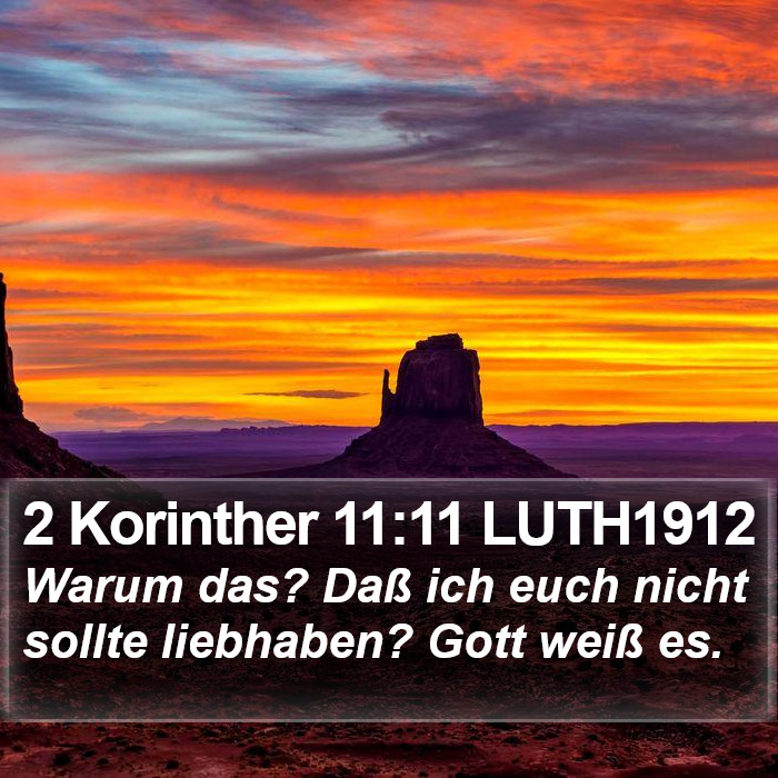 2 Korinther 11:11 LUTH1912 Bible Study