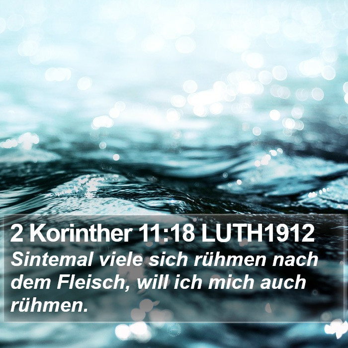 2 Korinther 11:18 LUTH1912 Bible Study