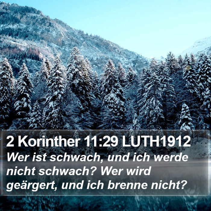 2 Korinther 11:29 LUTH1912 Bible Study