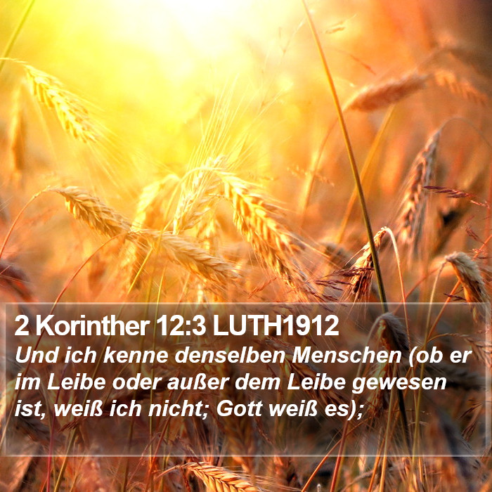 2 Korinther 12:3 LUTH1912 Bible Study