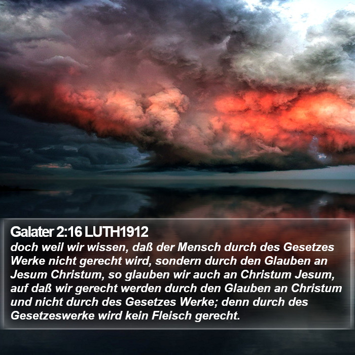 Galater 2:16 LUTH1912 Bible Study