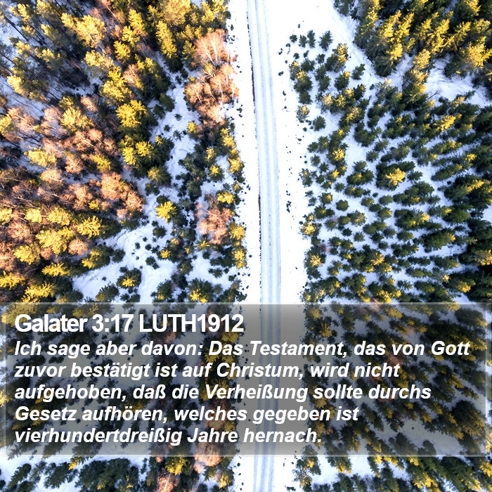 Galater 3:17 LUTH1912 Bible Study