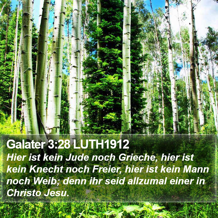 Galater 3:28 LUTH1912 Bible Study