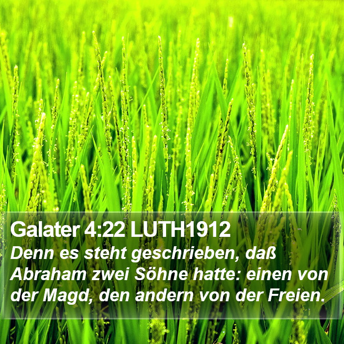 Galater 4:22 LUTH1912 Bible Study