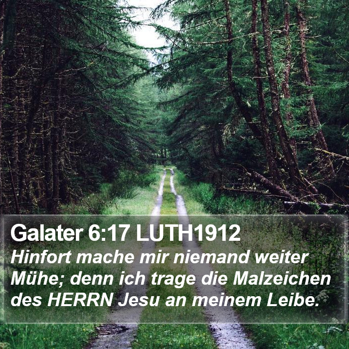 Galater 6:17 LUTH1912 Bible Study