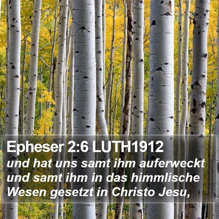 Epheser 2:6 LUTH1912 Bible Study