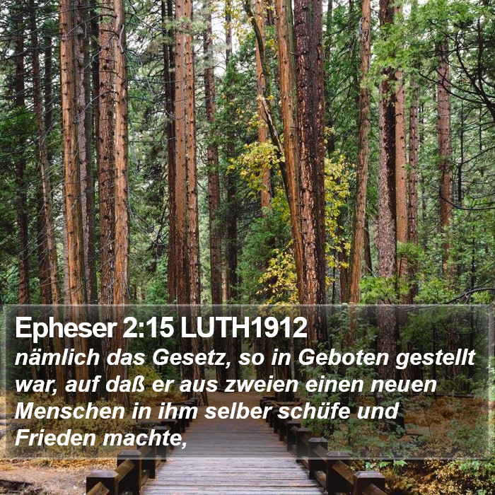 Epheser 2:15 LUTH1912 Bible Study