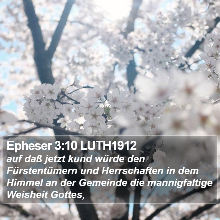 Epheser 3:10 LUTH1912 Bible Study