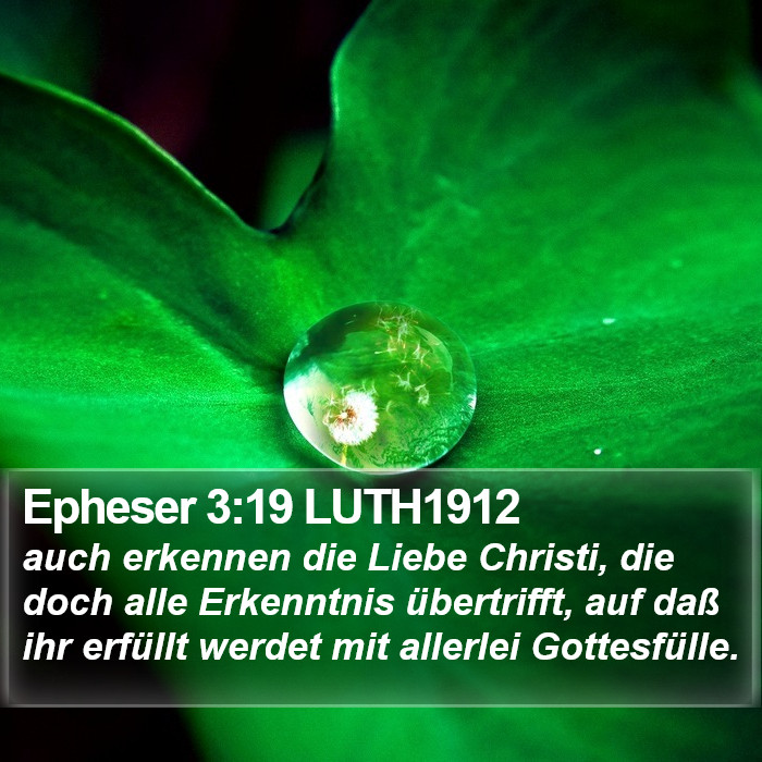 Epheser 3:19 LUTH1912 Bible Study