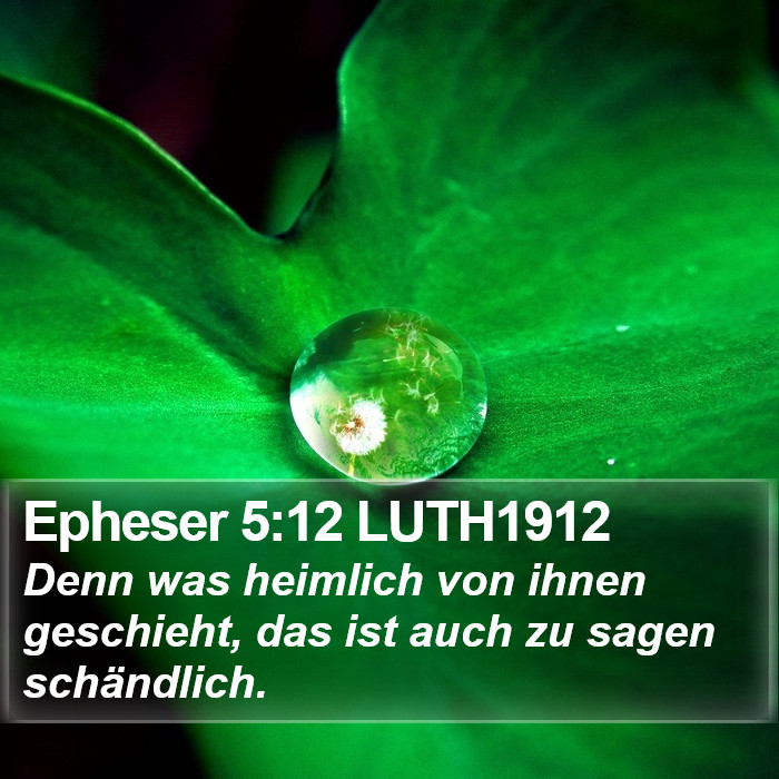 Epheser 5:12 LUTH1912 Bible Study