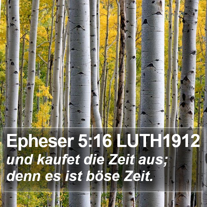 Epheser 5:16 LUTH1912 Bible Study